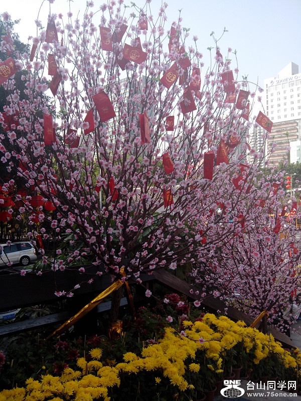 IMG_20150224_151724_副本.jpg