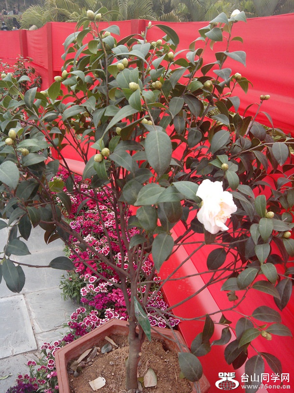 IMG_20150211_142410_副本.jpg
