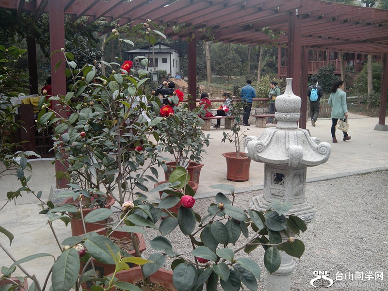 IMG_20150211_142655_副本.jpg