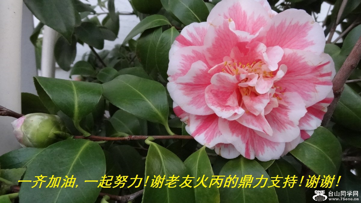һ,һŬ!лѻĶ֧!лл!.jpg