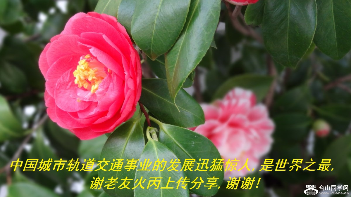 中国城市轨道交通事业的发展迅猛惊人,.jpg
