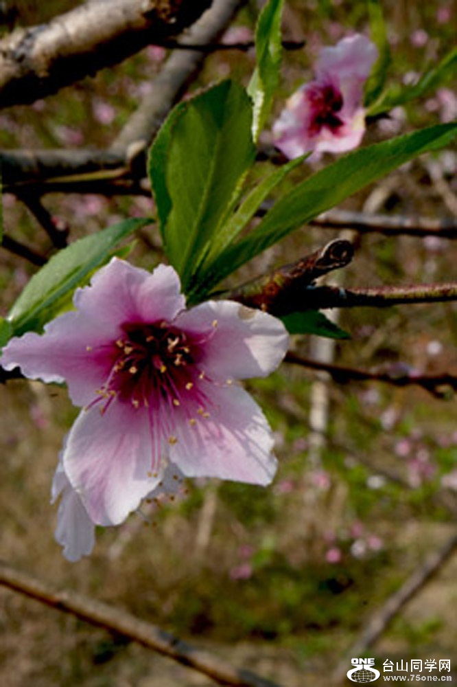DSC01975.JPG
