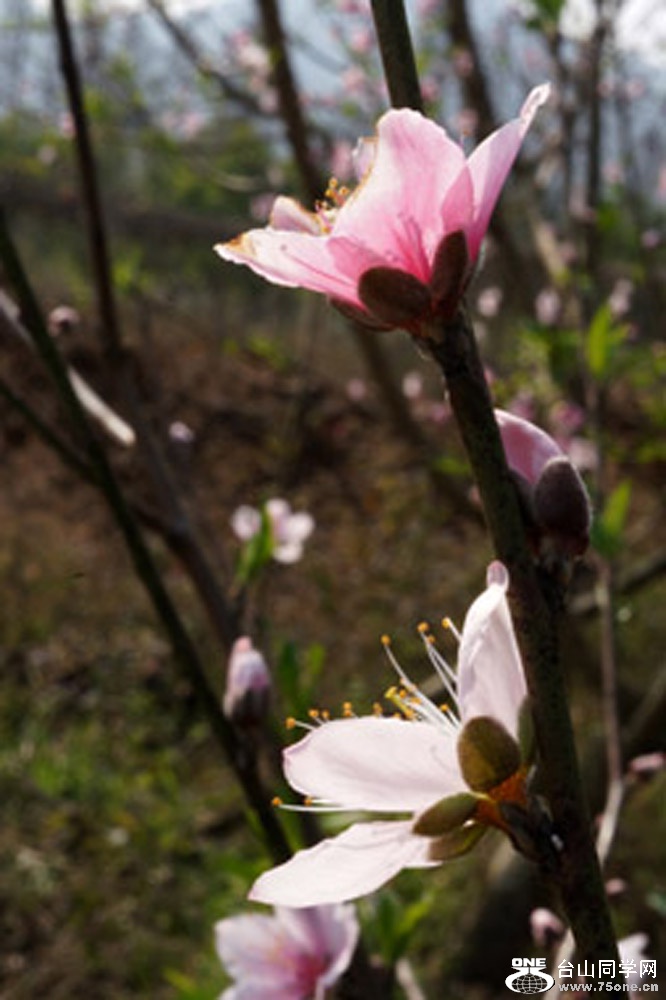 DSC01980.JPG