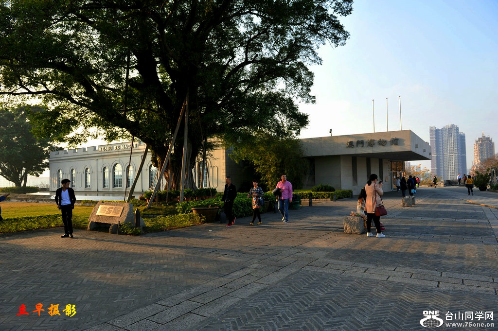 57.jpg