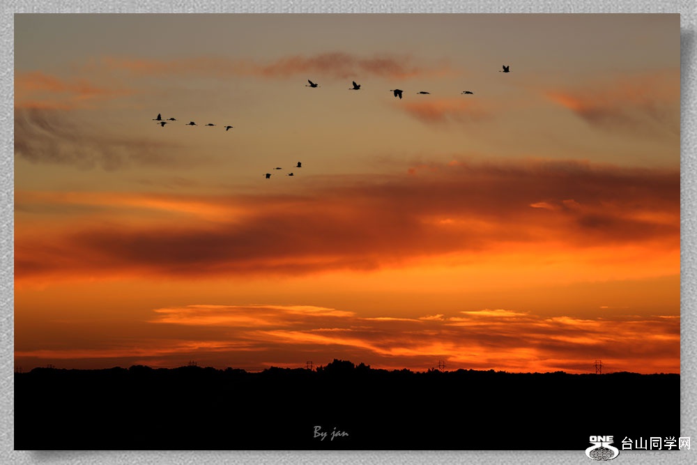 IMG_2590-a.jpg