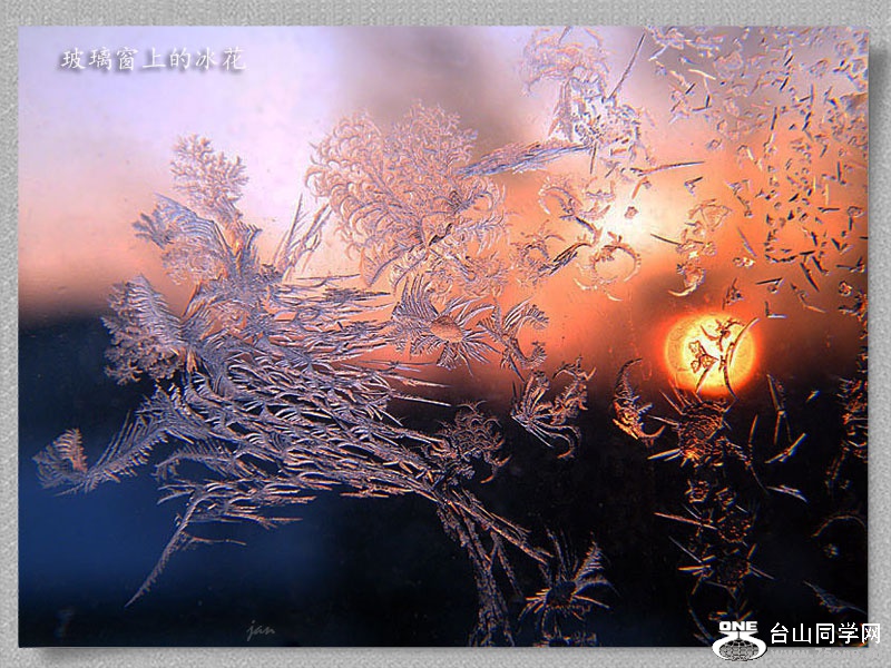 DSCF7071-a.jpg