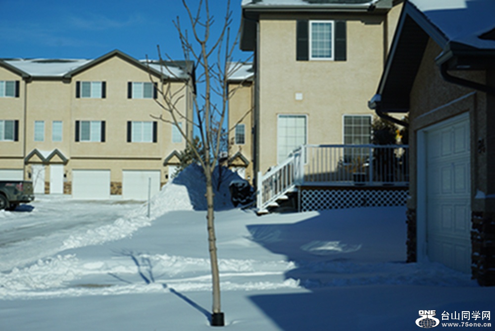 DSC01839.jpg