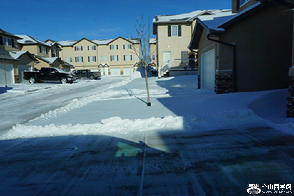 DSC01836.jpg