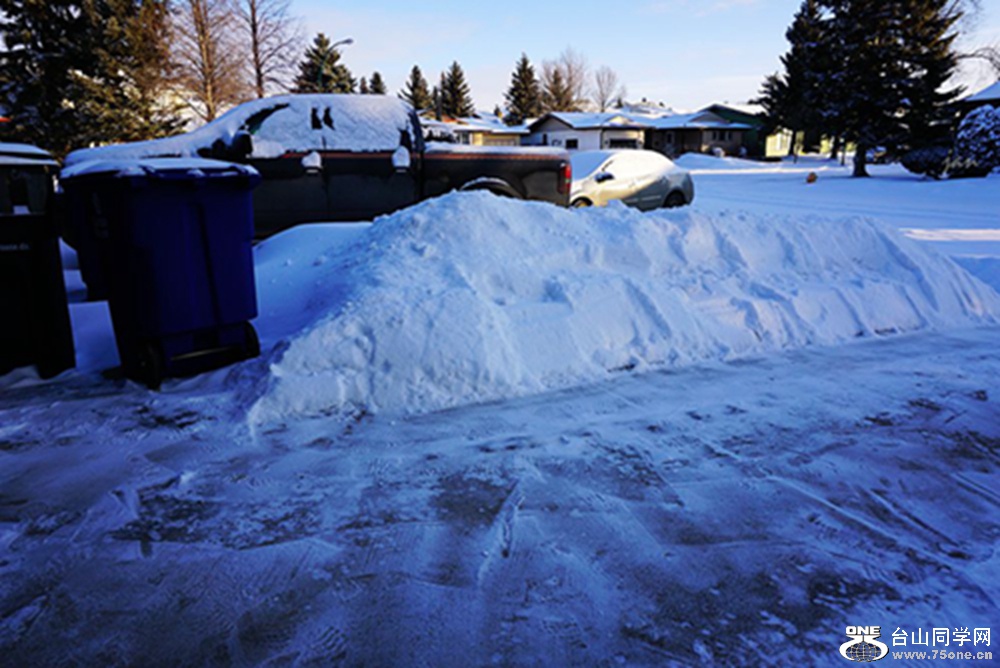 DSC01787=.jpg