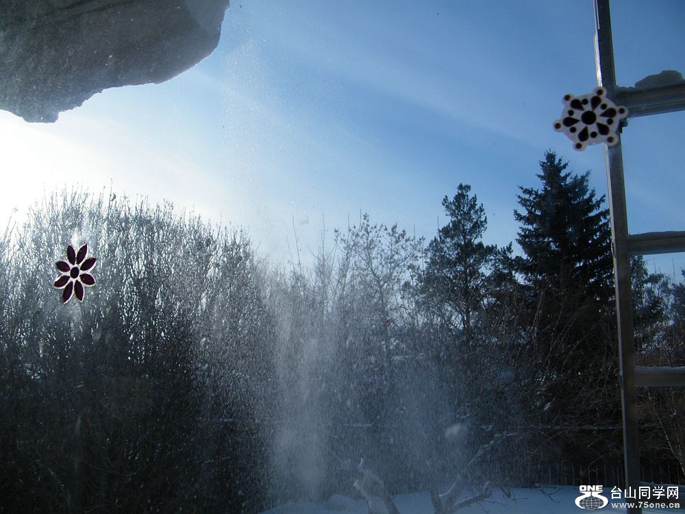 DSCF2721.JPG