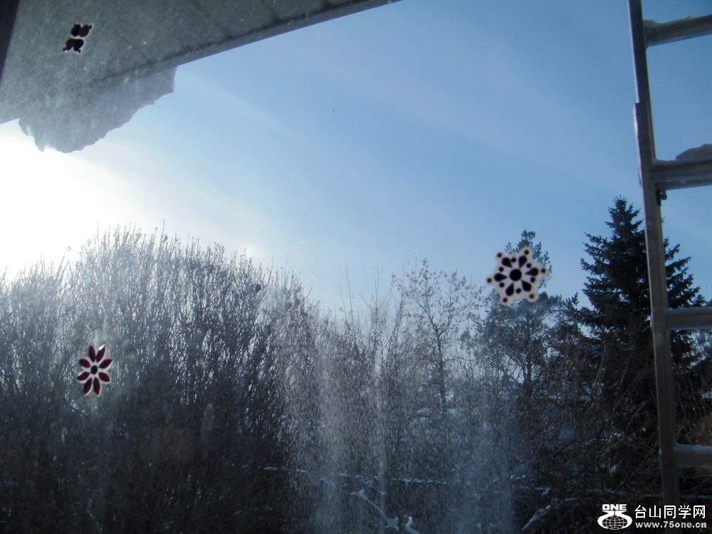 DSCF2725.JPG