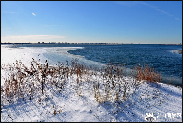 DSC_6513.jpg