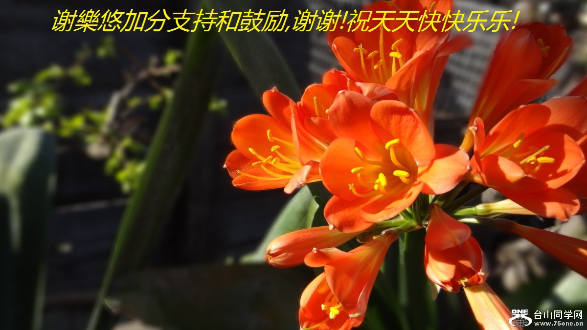 谢樂悠加分支持和鼓励,谢谢!祝天天快快乐乐!.jpg