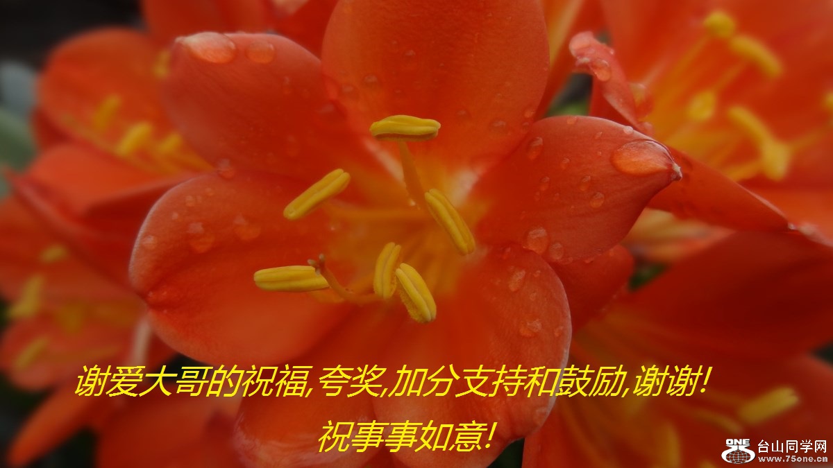 лף,佱,ӷֺ֧͹,лл!ף!.jpg