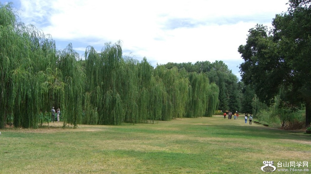 26.jpg