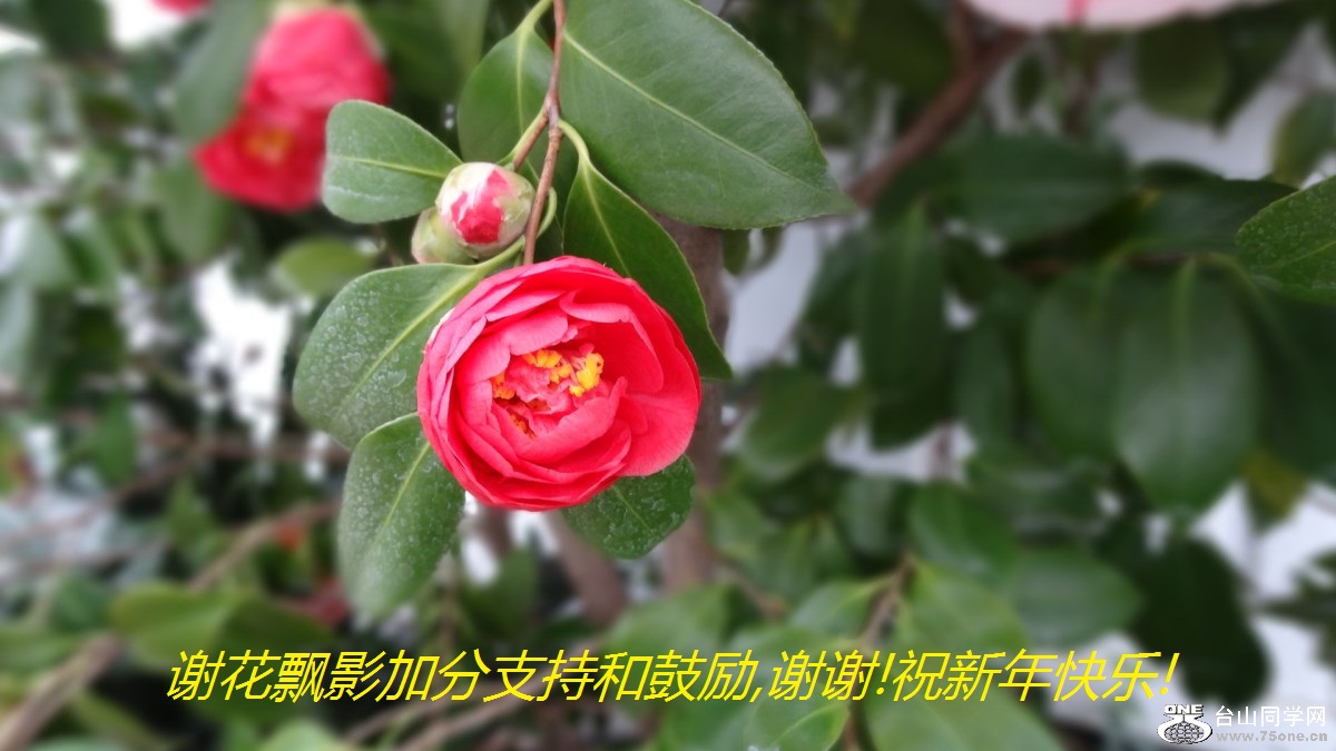 лƮӰӷֺ֧͹,лл!ף!.jpg