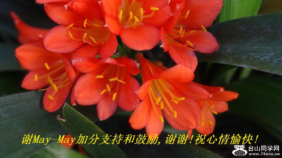 лMay-Mayӷֺ֧͹,лл!ף!.jpg