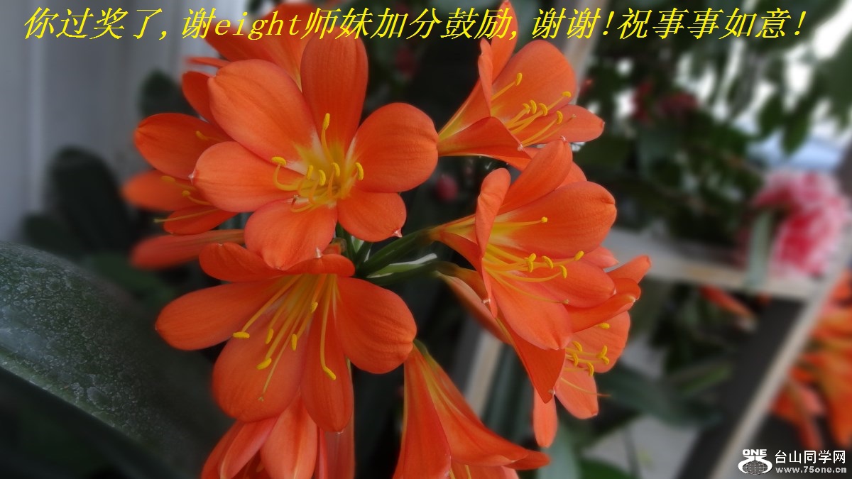 你过奖了,谢eight师妹加分鼓励,谢谢!祝事事如意!.jpg