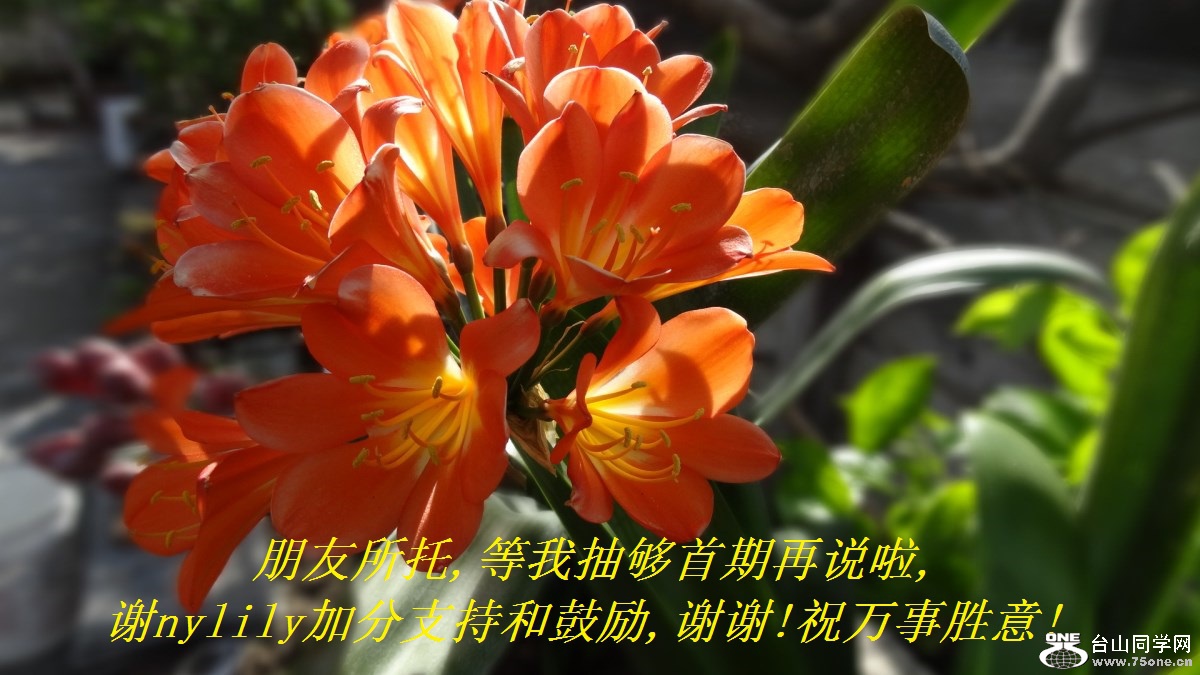 ,ҳ鹻˵,лnylilyӷֺ֧͹,лл!ףʤ!.jpg