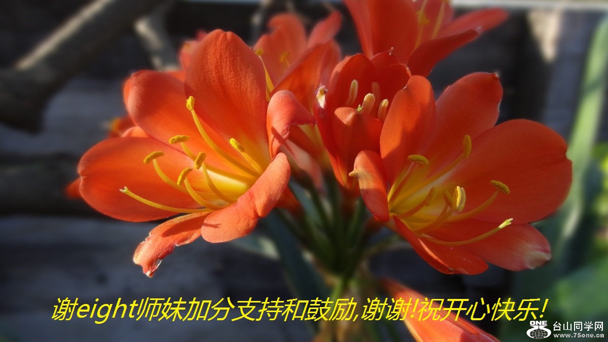 лeightʦüӷֺ֧͹,лл!ףĿ!.jpg
