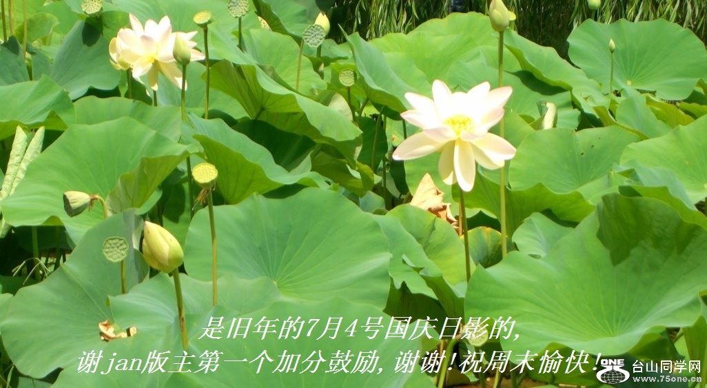 是旧年的7月4号国庆日影的,谢jan版主第一个加分鼓励,谢谢!祝周末愉快!.jpg