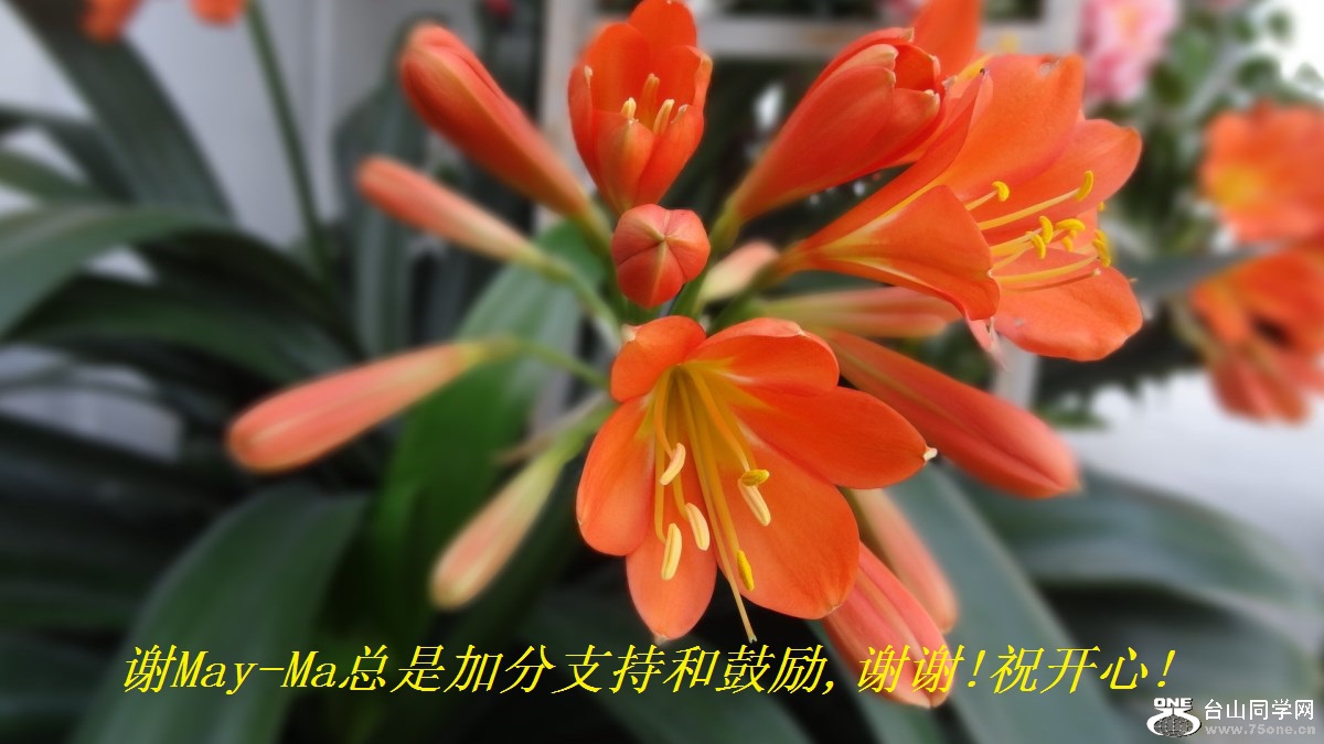 谢May-Ma总是加分支持和鼓励,谢谢!祝开心!.jpg