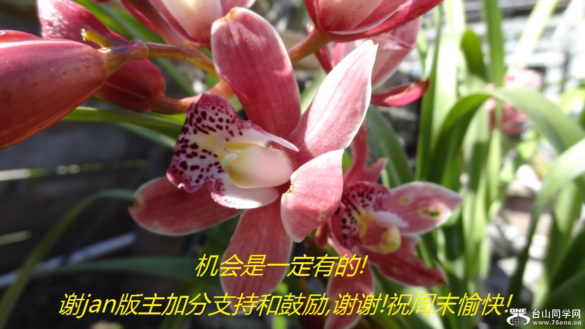 һе!лjanӷֺ֧͹,лл!ףĩ!.jpg