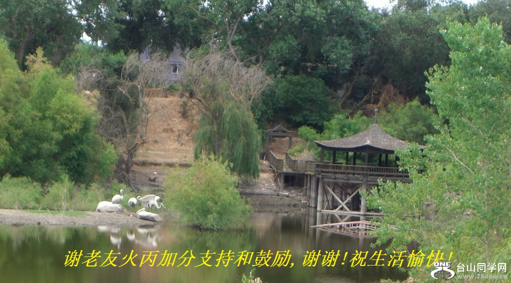 谢老友火丙加分支持和鼓励,谢谢!祝生活愉快!.jpg