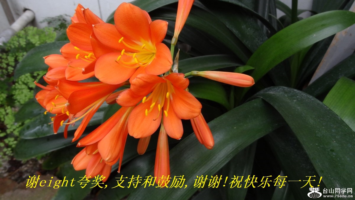 谢eight夸奖,支持和鼓励,谢谢!祝快乐每一天!.jpg