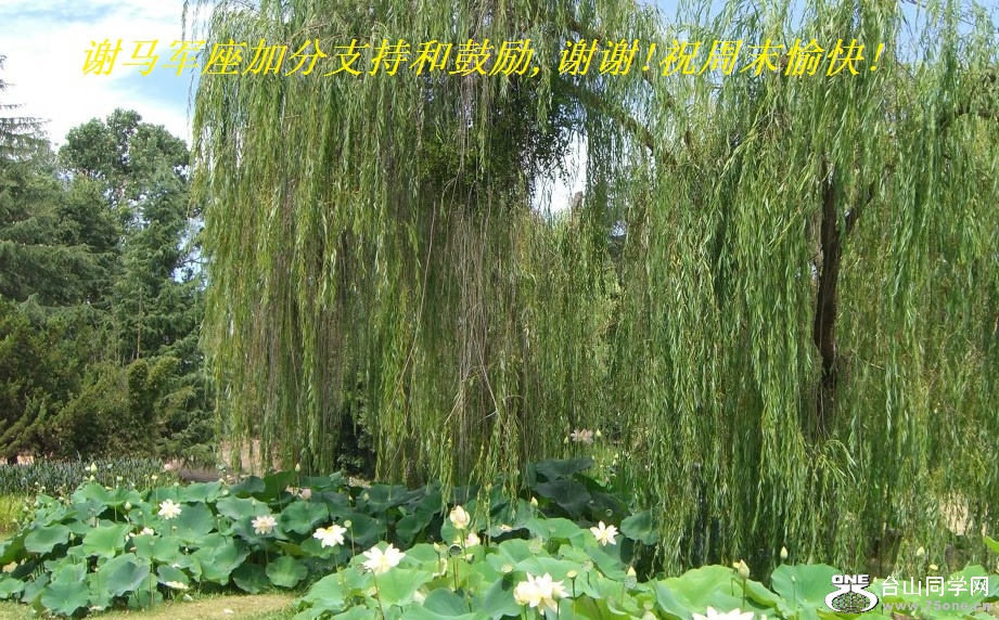 谢马军座加分支持和鼓励,谢谢!祝周末愉快!.jpg
