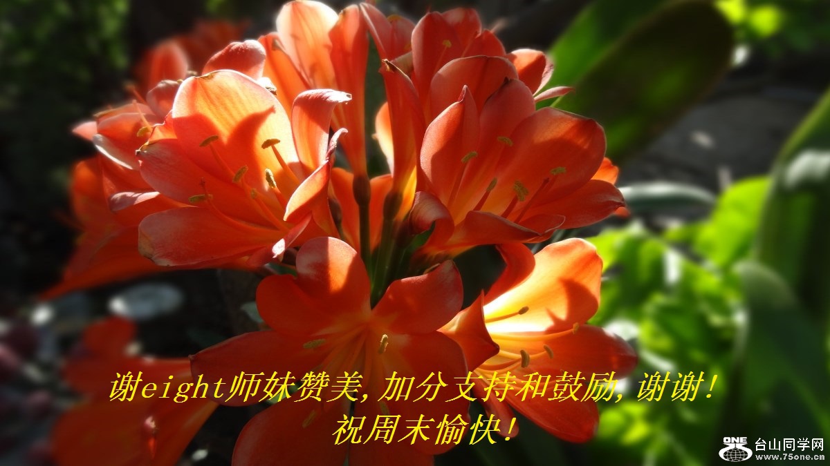 谢eight师妹赞美,加分支持和鼓励,谢谢!祝周末愉快!.jpg