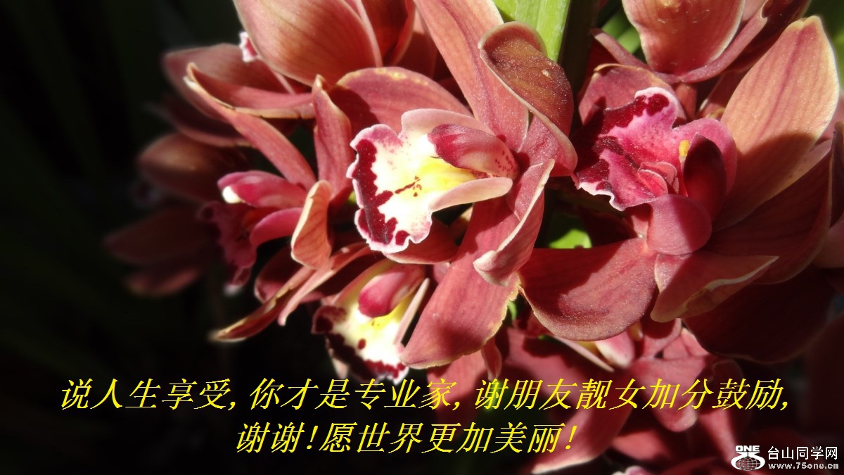 说人生享受,你才是专业家,谢朋友靓女加分支持和鼓励,谢谢!愿世界更加美丽!.jpg