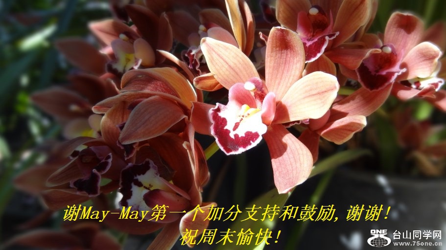 лMay-Mayһӷֺ֧͹,лл!ףĩ!.jpg