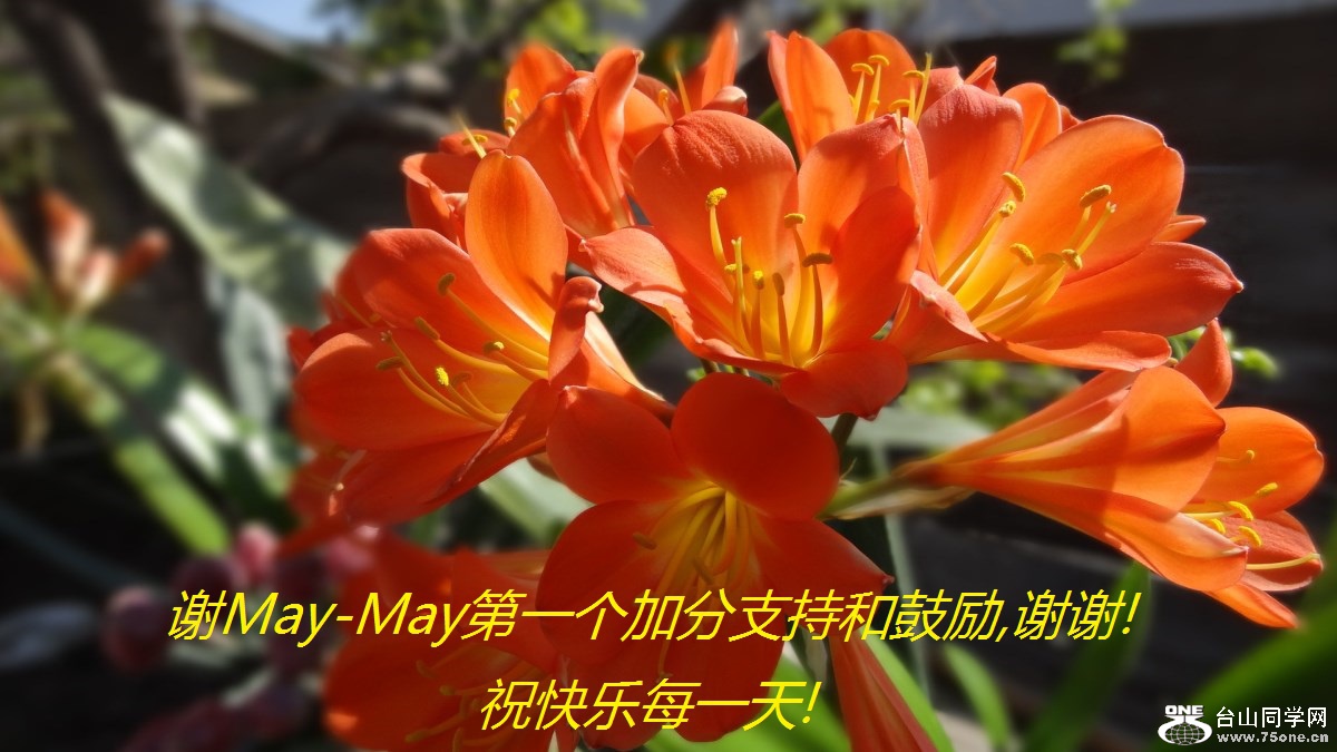 谢May-May第一个加分支持和鼓励,谢谢!祝快乐每一天!.jpg