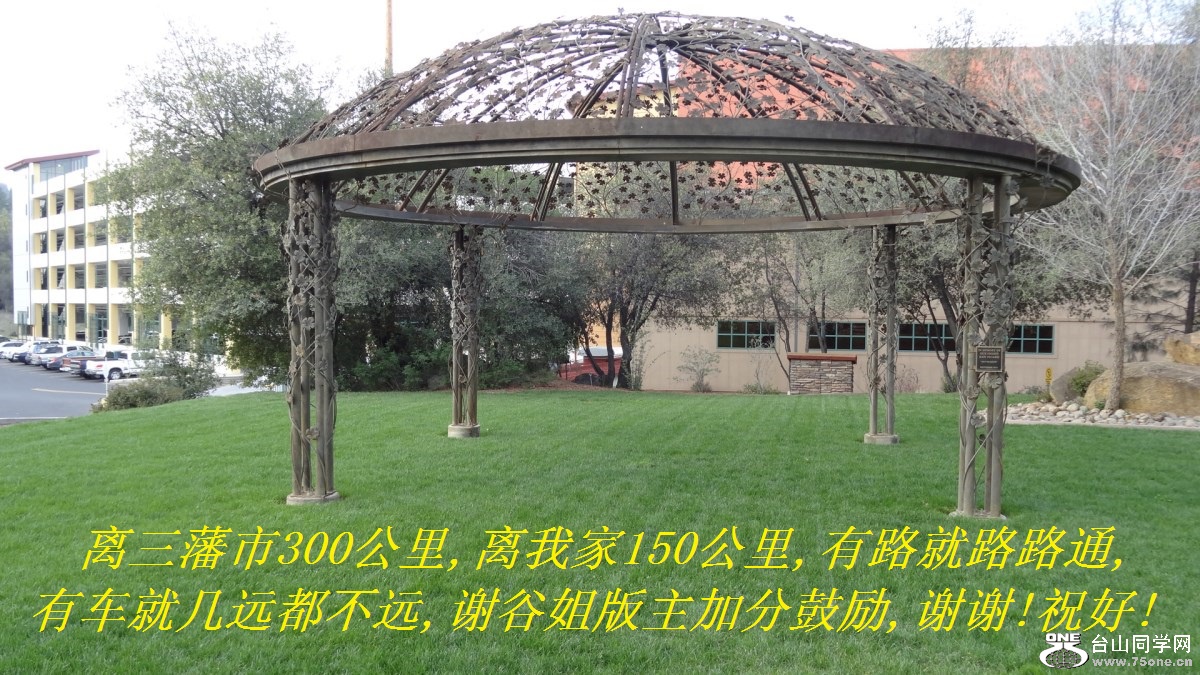 离三藩市300公里,离我家150公里,有路就路路通,有车就几远都不远,谢谷姐版主加分鼓励,谢谢!祝好!.jpg