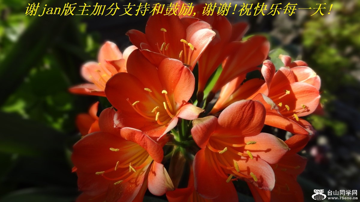 谢jan版主加分支持和鼓励,谢谢!祝快乐每一天!.jpg