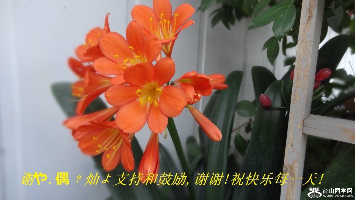 л.żtӤֺ֧͹,лл!ףÿһ!.jpg