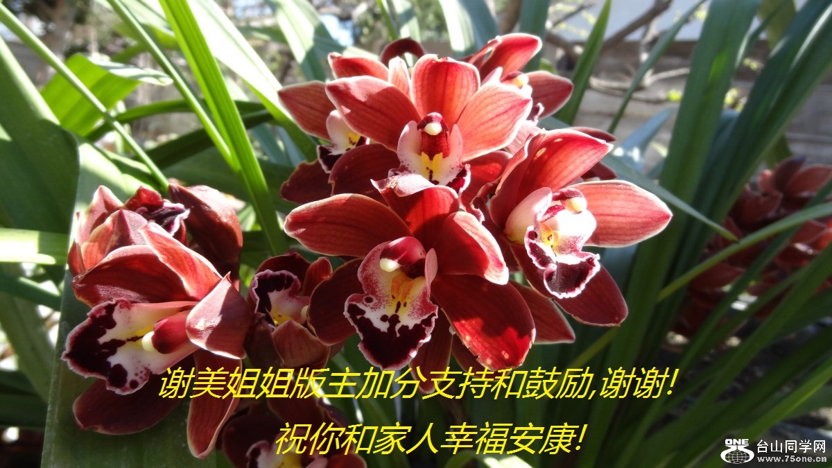 谢美姐姐版主加分支持和鼓励,谢谢!祝你和家人幸福安康!.jpg
