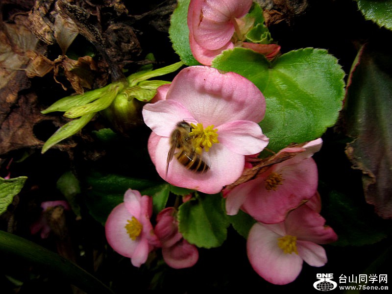 DSCF3869.jpg