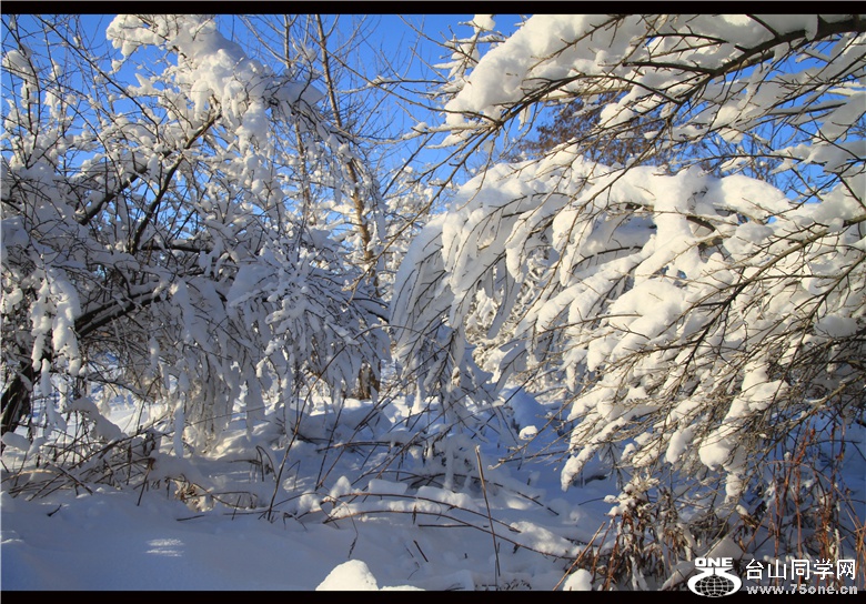 IMG_3616_.jpg