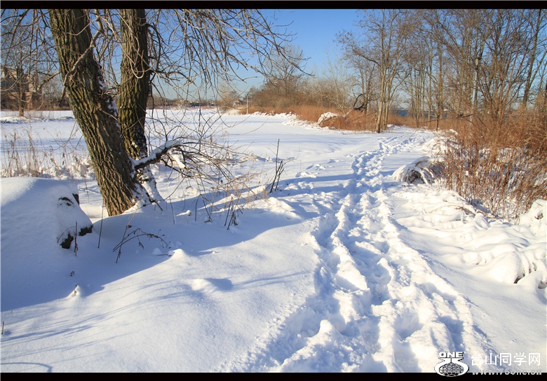 IMG_3677_.jpg