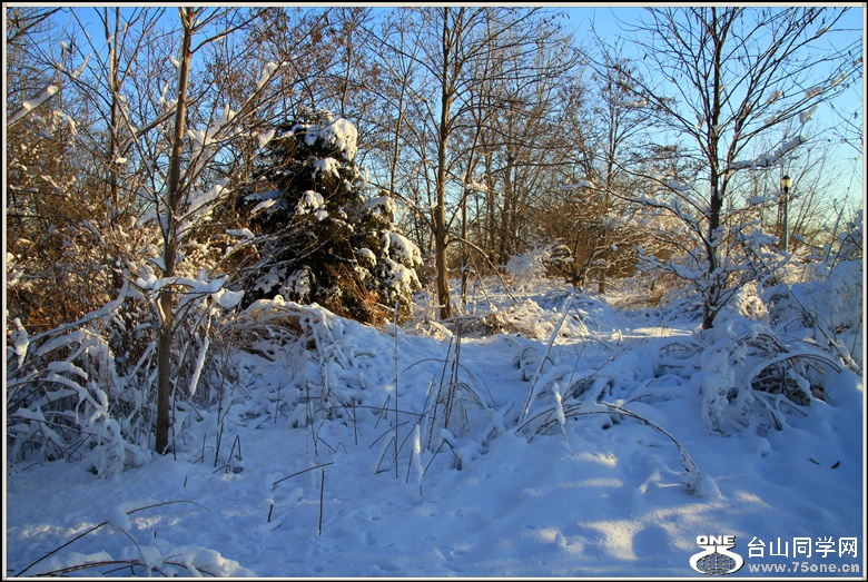 IMG_3645.JPG