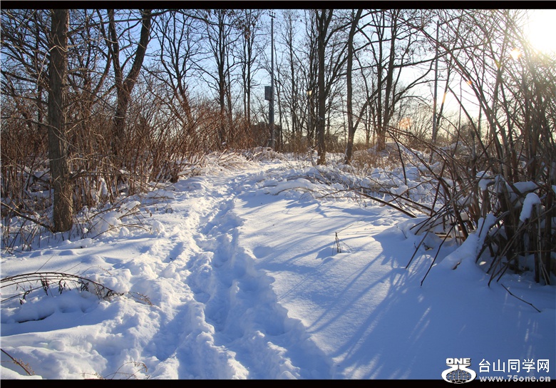 IMG_3680_.jpg