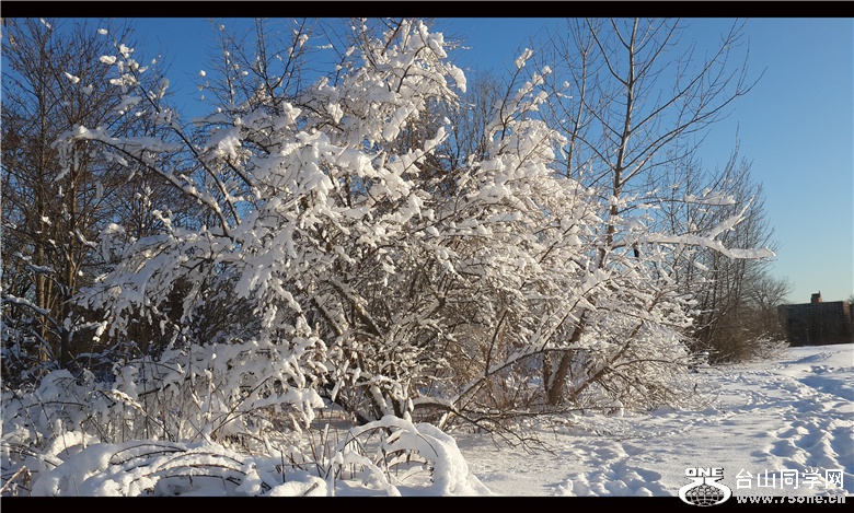 20150306_071626_.jpg