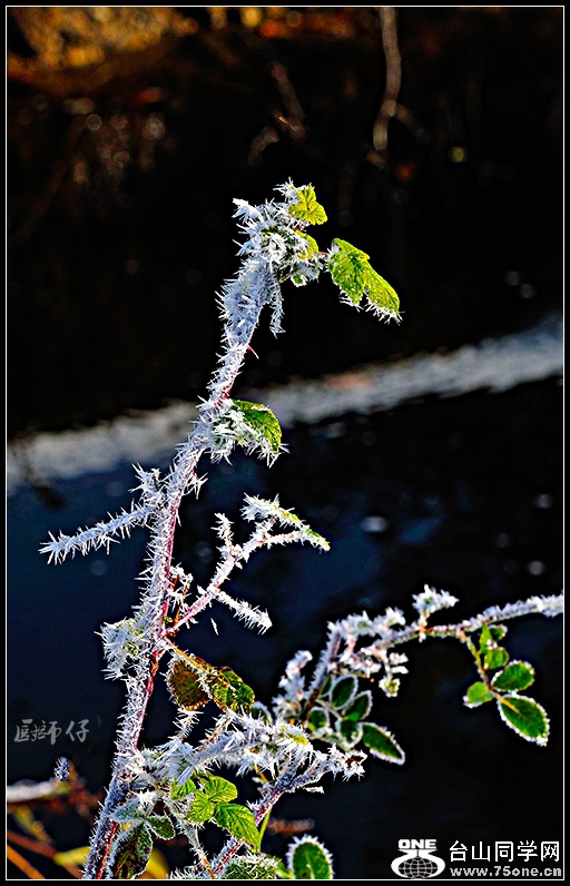 DSC_6934.jpg
