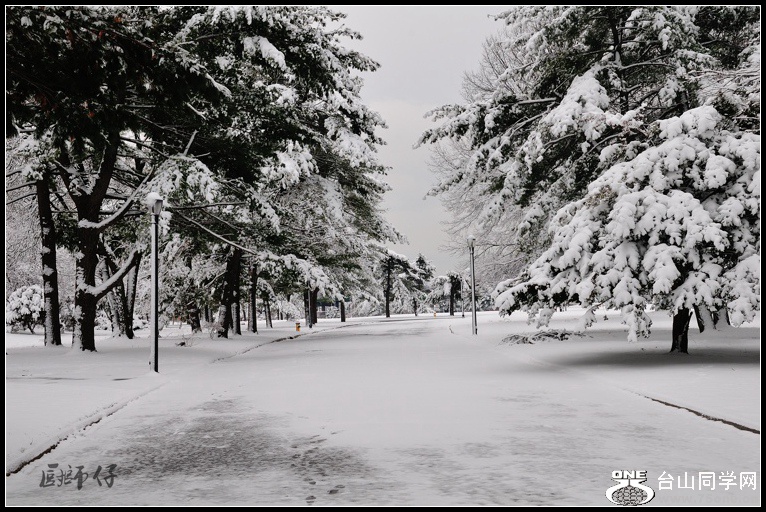 DSC_0693.jpg
