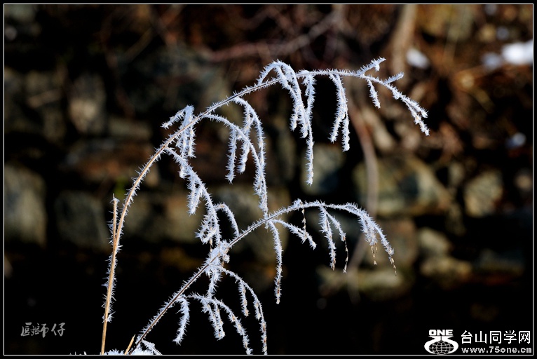 DSC_6966.jpg