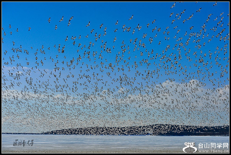 DSC_4018.jpg