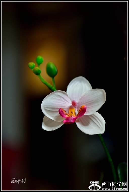 DSC_3079_.jpg