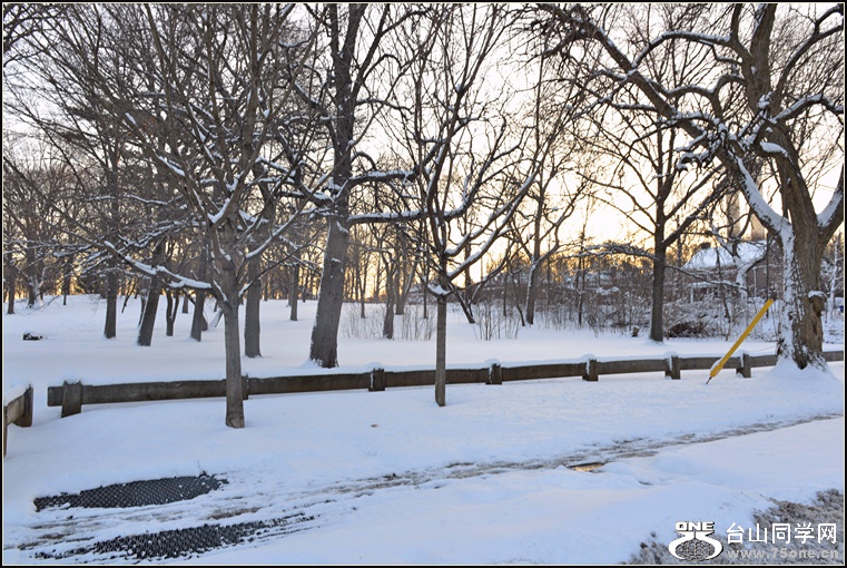 DSC_2384.jpg